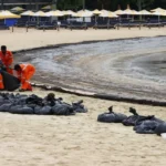 Pantai East Coast Park dan Sentosa Ditutup! Pembersihan Tumpahan Minyak di Singapura