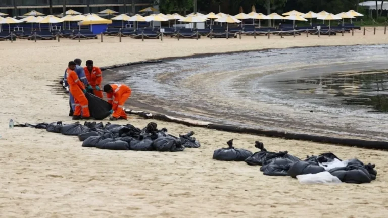 Pantai East Coast Park dan Sentosa Ditutup! Pembersihan Tumpahan Minyak di Singapura